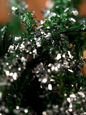 Widłak srebrzony wiązka 20 cm