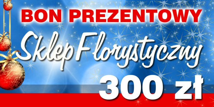 Bon prezentowy 300 zł