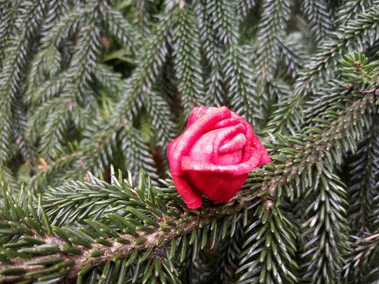 Kwiaty na choinkę Kwiaty na stroik, wianek, potpourri 45-50 szt op- czerwone